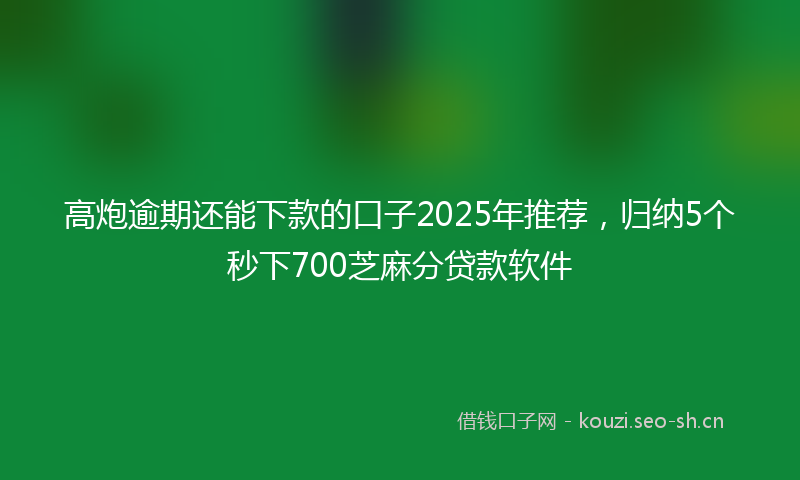 高炮逾期还能下款的口子2025年推荐，归纳5个秒下700芝麻分贷款软件