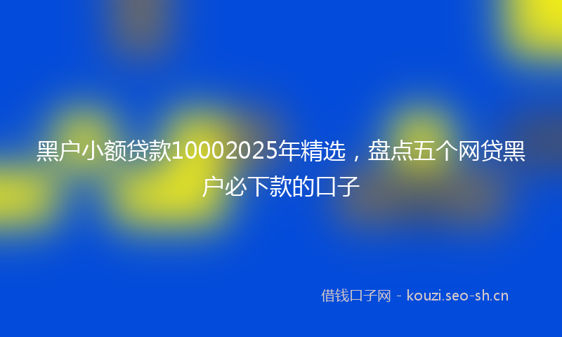 黑户小额贷款10002025年精选，盘点五个网贷黑户必下款的口子