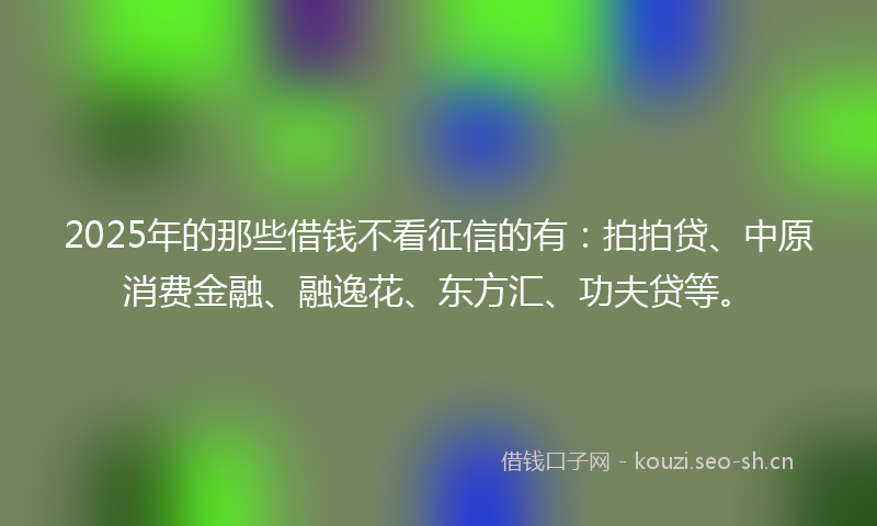 2025年的那些借钱不看征信的有：拍拍贷、中原消费金融、融逸花、东方汇、功夫贷等。