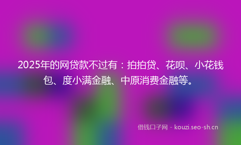2025年的网贷款不过有：拍拍贷、花呗、小花钱包、度小满金融、中原消费金融等。