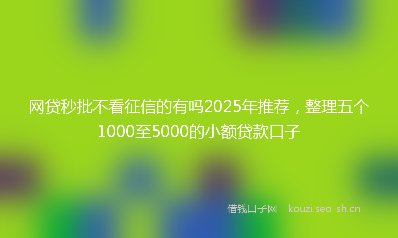 网贷秒批不看征信的有吗2025年推荐，整理五个1000至5000的小额贷款口子