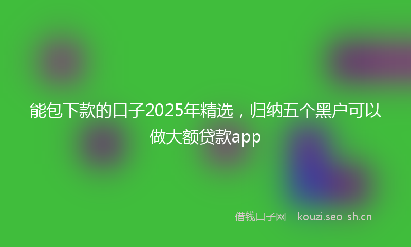 能包下款的口子2025年精选，归纳五个黑户可以做大额贷款app