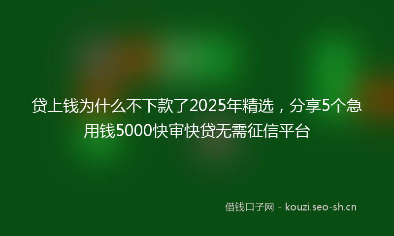 贷上钱为什么不下款了2025年精选，分享5个急用钱5000快审快贷无需征信平台