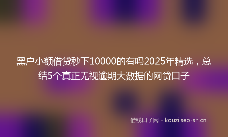 黑户小额借贷秒下10000的有吗2025年精选，总结5个真正无视逾期大数据的网贷口子