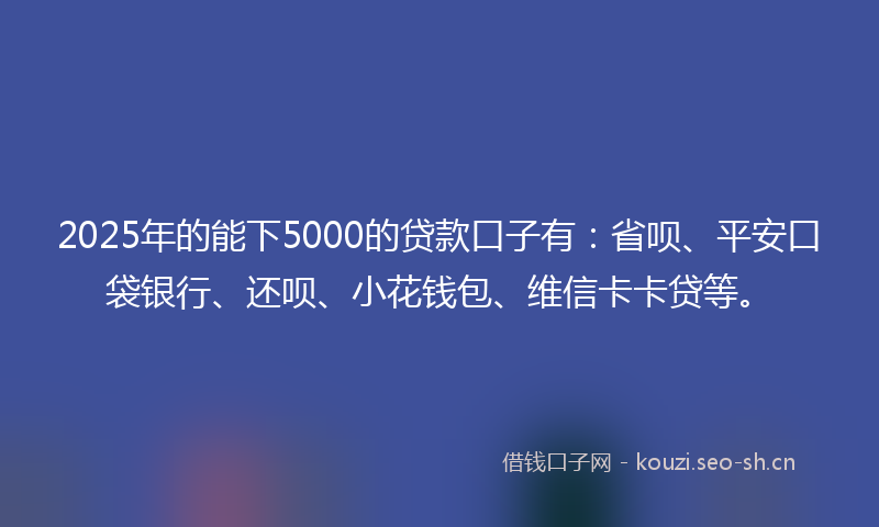 2025年的能下5000的贷款口子有：省呗、平安口袋银行、还呗、小花钱包、维信卡卡贷等。