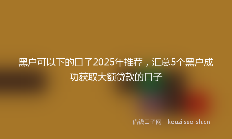 黑户可以下的口子2025年推荐，汇总5个黑户成功获取大额贷款的口子