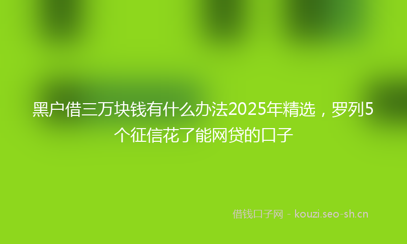 黑户借三万块钱有什么办法2025年精选，罗列5个征信花了能网贷的口子