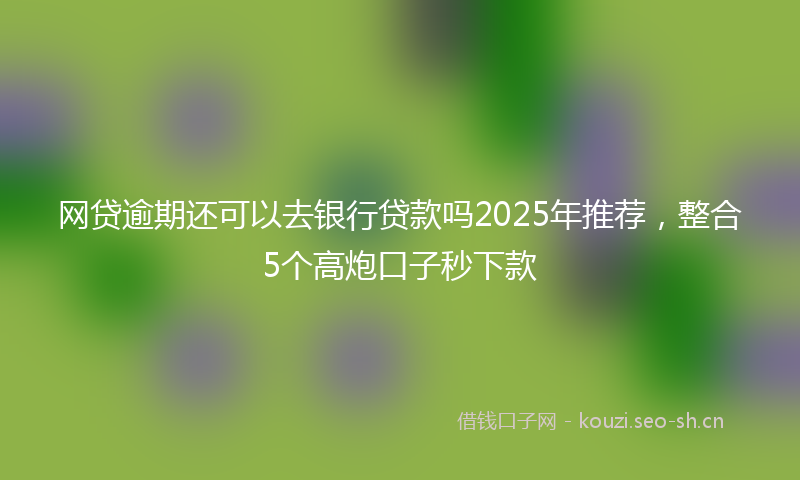网贷逾期还可以去银行贷款吗2025年推荐，整合5个高炮口子秒下款