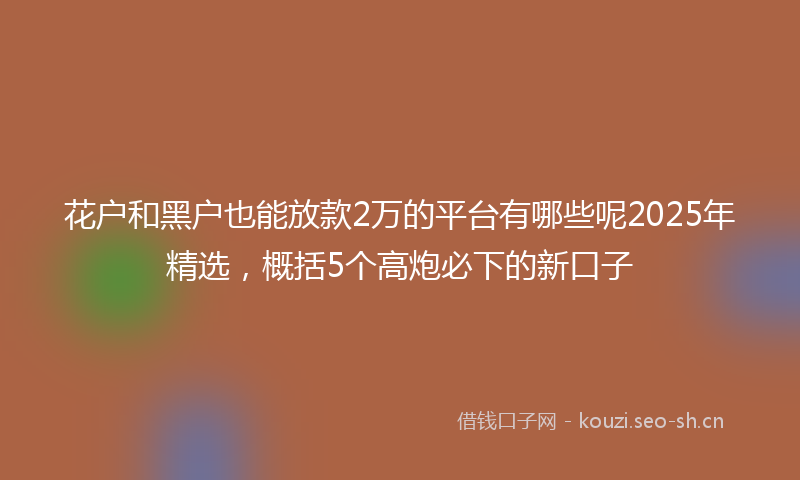 花户和黑户也能放款2万的平台有哪些呢2025年精选，概括5个高炮必下的新口子