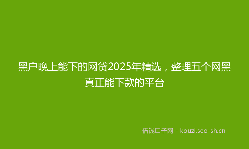 黑户晚上能下的网贷2025年精选，整理五个网黑真正能下款的平台