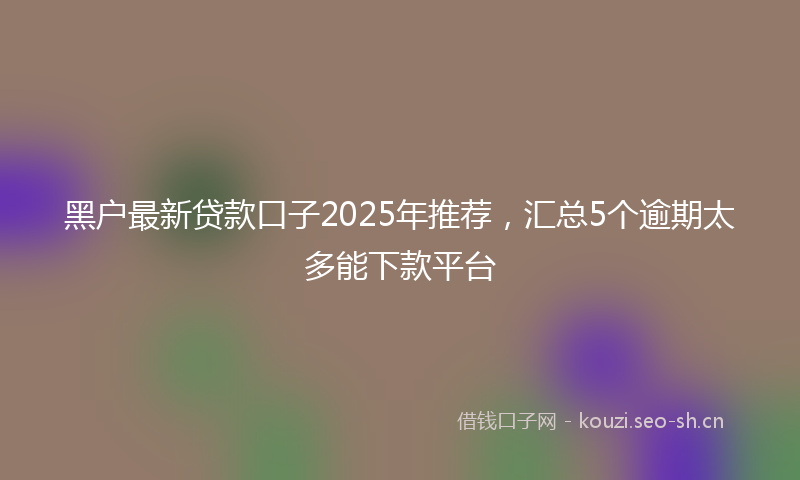 黑户最新贷款口子2025年推荐，汇总5个逾期太多能下款平台