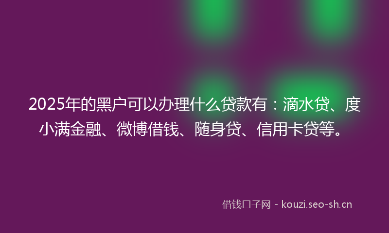 2025年的黑户可以办理什么贷款有：滴水贷、度小满金融、微博借钱、随身贷、信用卡贷等。
