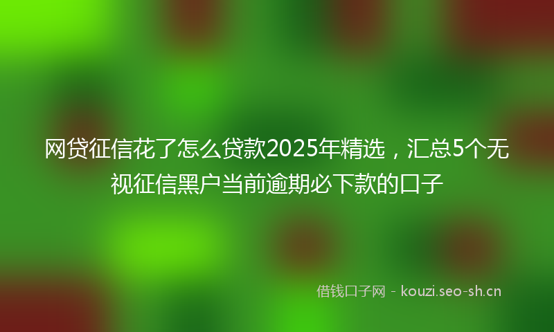 网贷征信花了怎么贷款2025年精选，汇总5个无视征信黑户当前逾期必下款的口子