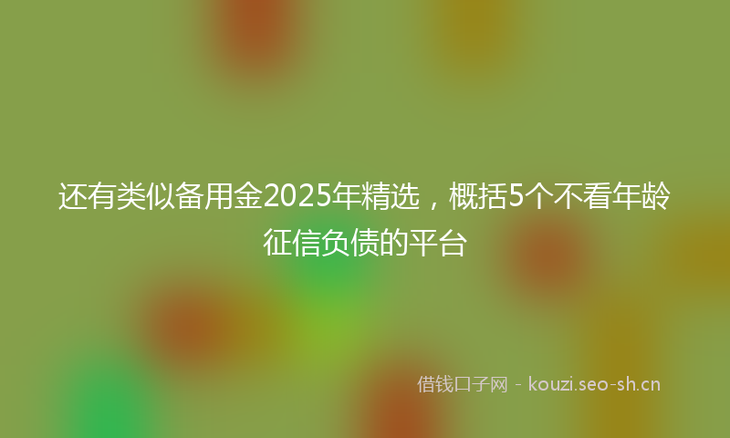 还有类似备用金2025年精选，概括5个不看年龄征信负债的平台