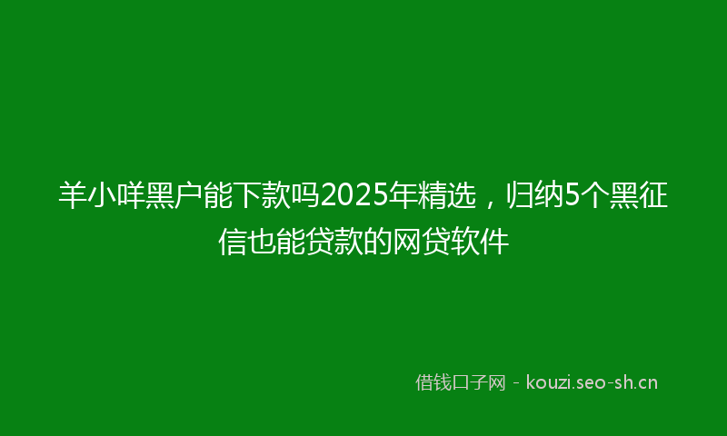 羊小咩黑户能下款吗2025年精选，归纳5个黑征信也能贷款的网贷软件