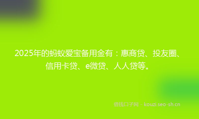 2025年的蚂蚁爱宝备用金有：惠商贷、投友圈、信用卡贷、e微贷、人人贷等。