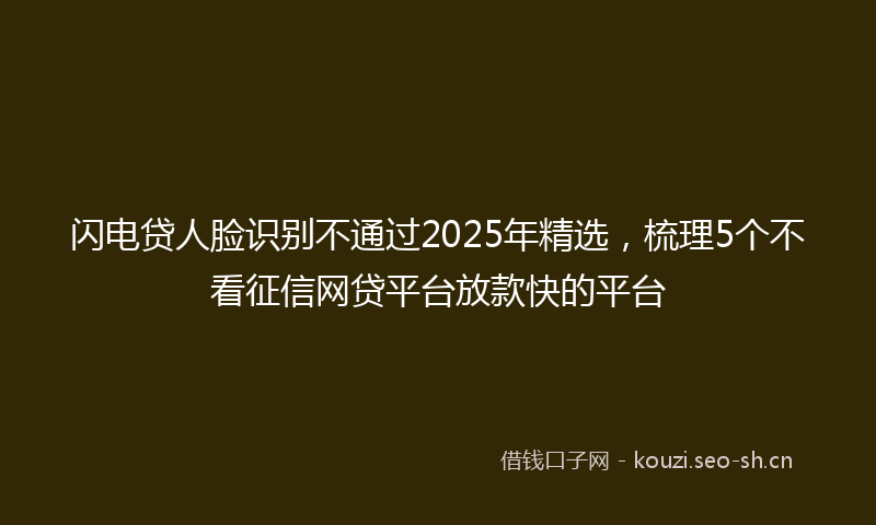闪电贷人脸识别不通过2025年精选，梳理5个不看征信网贷平台放款快的平台