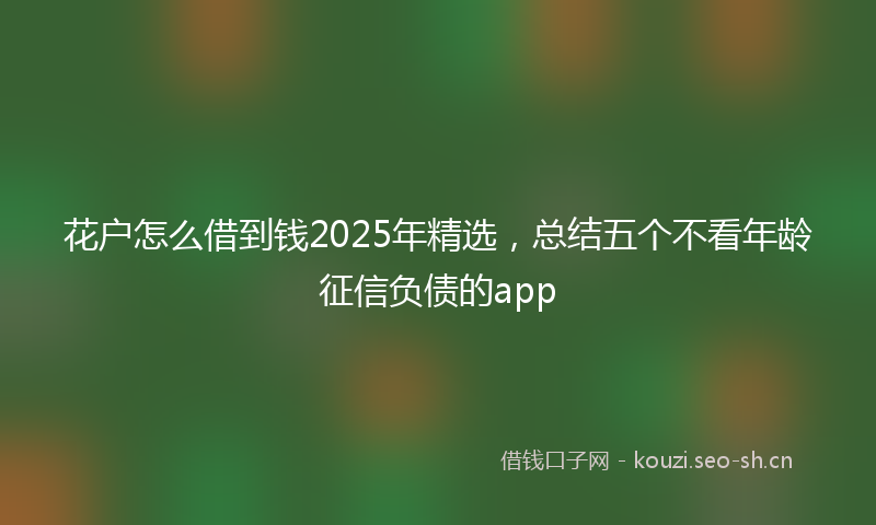 花户怎么借到钱2025年精选，总结五个不看年龄征信负债的app