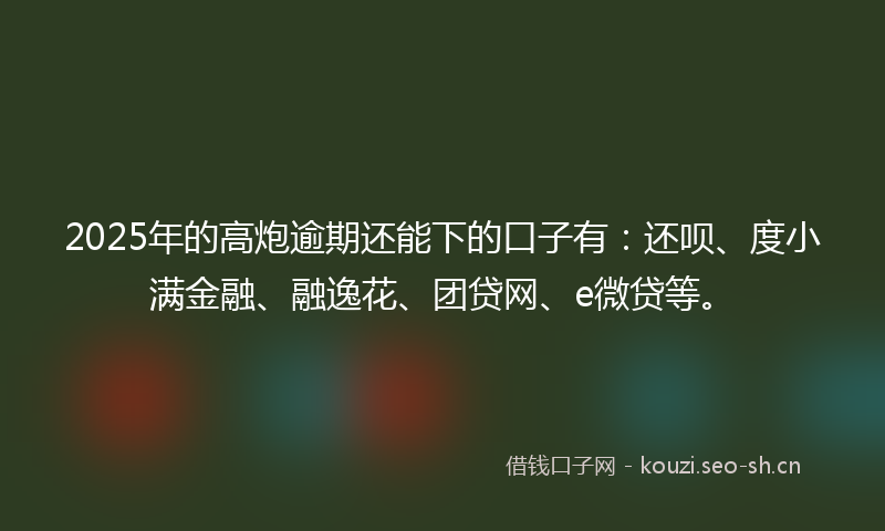 2025年的高炮逾期还能下的口子有：还呗、度小满金融、融逸花、团贷网、e微贷等。