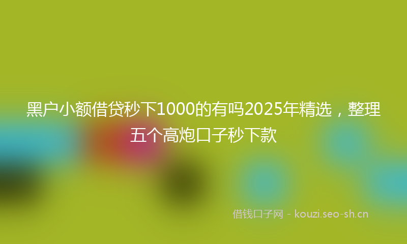黑户小额借贷秒下1000的有吗2025年精选，整理五个高炮口子秒下款