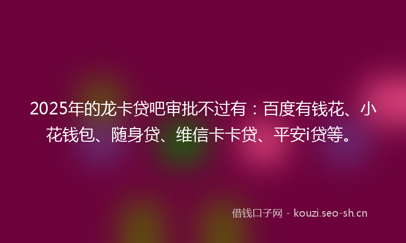 2025年的龙卡贷吧审批不过有：百度有钱花、小花钱包、随身贷、维信卡卡贷、平安i贷等。