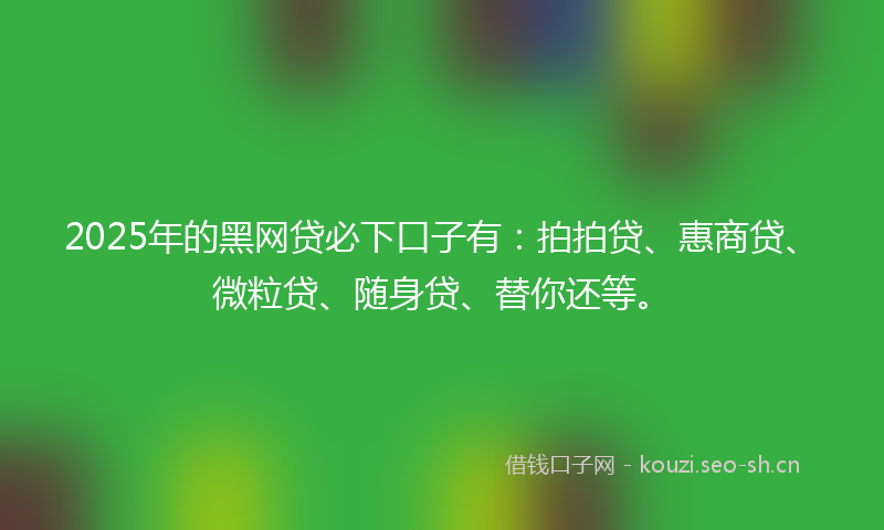 2025年的黑网贷必下口子有：拍拍贷、惠商贷、微粒贷、随身贷、替你还等。