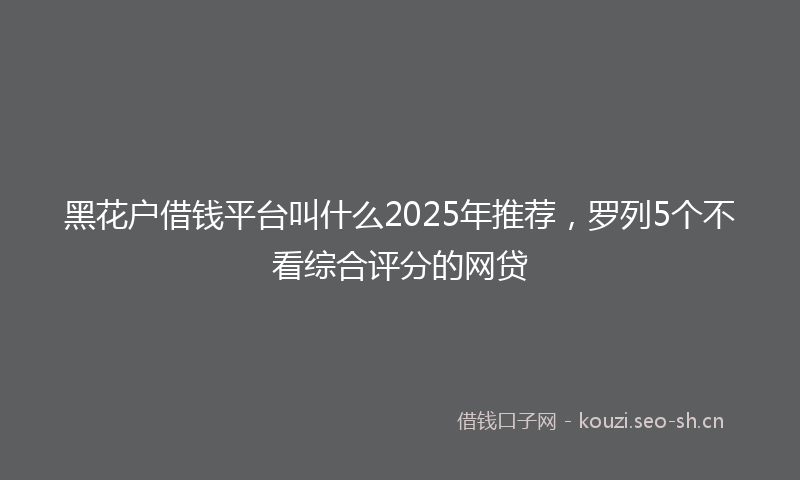 黑花户借钱平台叫什么2025年推荐，罗列5个不看综合评分的网贷