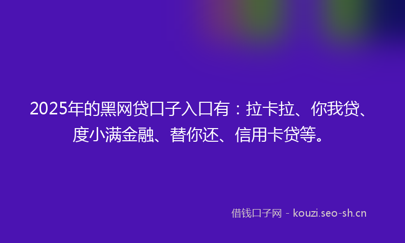 2025年的黑网贷口子入口有：拉卡拉、你我贷、度小满金融、替你还、信用卡贷等。