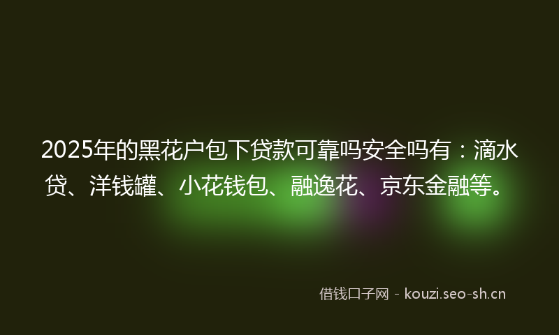 2025年的黑花户包下贷款可靠吗安全吗有：滴水贷、洋钱罐、小花钱包、融逸花、京东金融等。