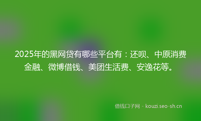 2025年的黑网贷有哪些平台有：还呗、中原消费金融、微博借钱、美团生活费、安逸花等。