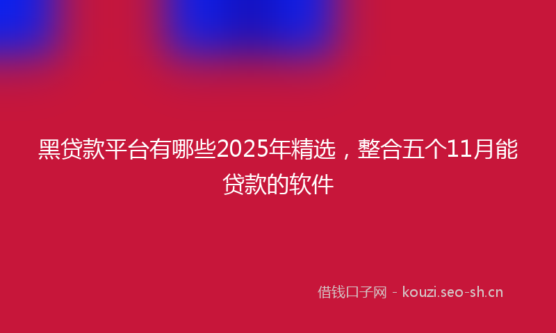 黑贷款平台有哪些2025年精选，整合五个11月能贷款的软件