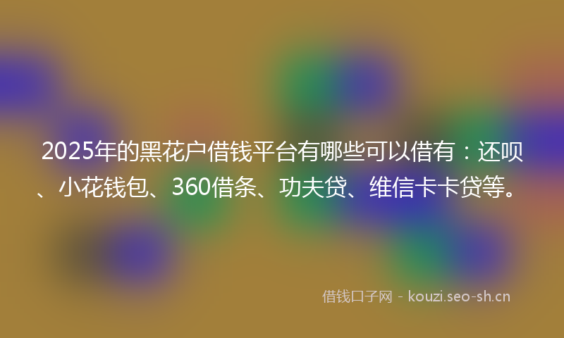 2025年的黑花户借钱平台有哪些可以借有：还呗、小花钱包、360借条、功夫贷、维信卡卡贷等。