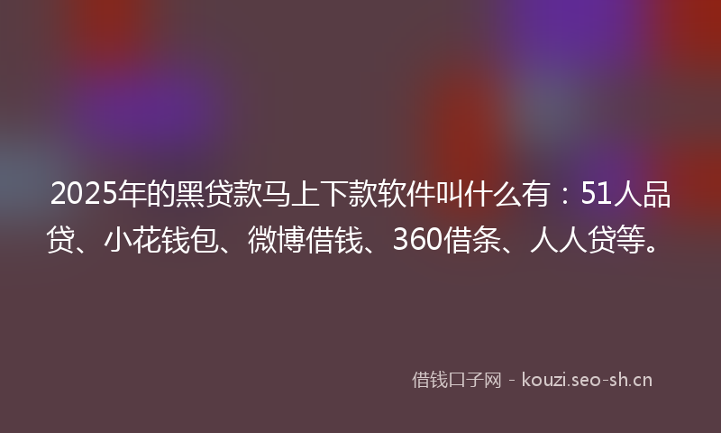 2025年的黑贷款马上下款软件叫什么有：51人品贷、小花钱包、微博借钱、360借条、人人贷等。
