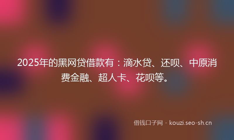 2025年的黑网贷借款有：滴水贷、还呗、中原消费金融、超人卡、花呗等。