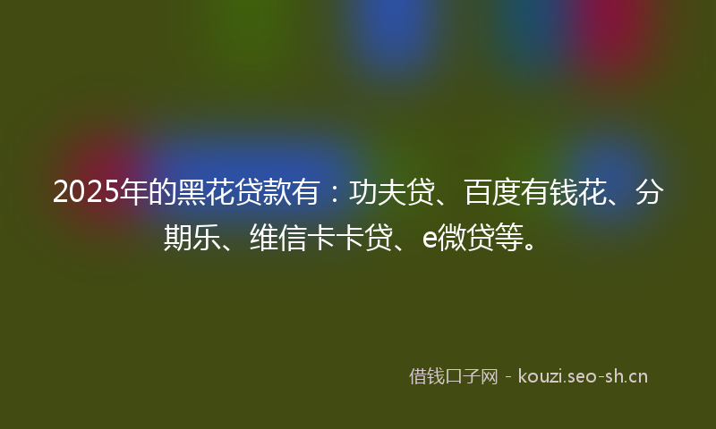 2025年的黑花贷款有：功夫贷、百度有钱花、分期乐、维信卡卡贷、e微贷等。
