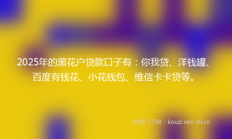 2025年的黑花户贷款口子有：你我贷、洋钱罐、百度有钱花、小花钱包、维信卡卡贷等。