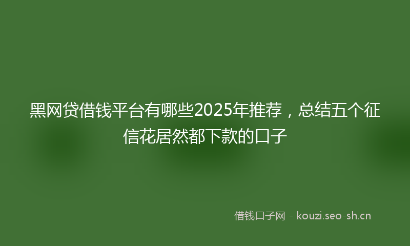 黑网贷借钱平台有哪些2025年推荐，总结五个征信花居然都下款的口子