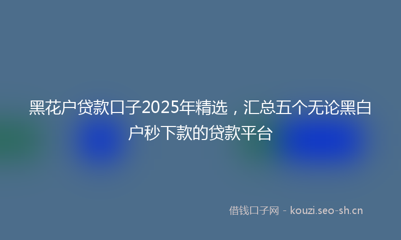 黑花户贷款口子2025年精选，汇总五个无论黑白户秒下款的贷款平台