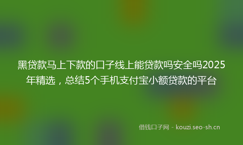 黑贷款马上下款的口子线上能贷款吗安全吗2025年精选，总结5个手机支付宝小额贷款的平台
