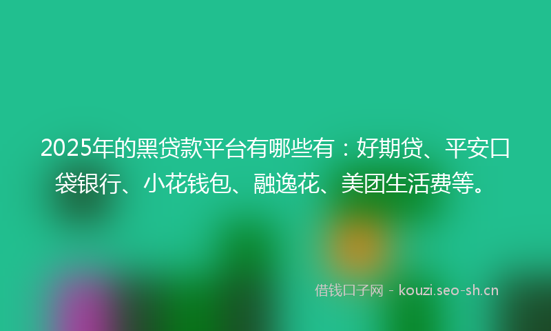 2025年的黑贷款平台有哪些有：好期贷、平安口袋银行、小花钱包、融逸花、美团生活费等。