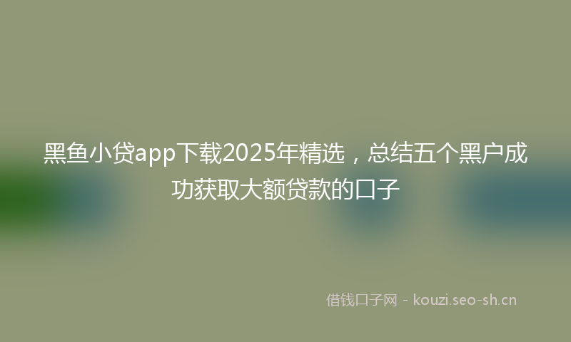 黑鱼小贷app下载2025年精选，总结五个黑户成功获取大额贷款的口子