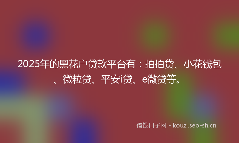 2025年的黑花户贷款平台有：拍拍贷、小花钱包、微粒贷、平安i贷、e微贷等。