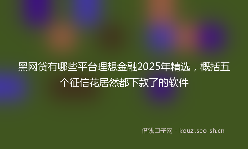 黑网贷有哪些平台理想金融2025年精选，概括五个征信花居然都下款了的软件