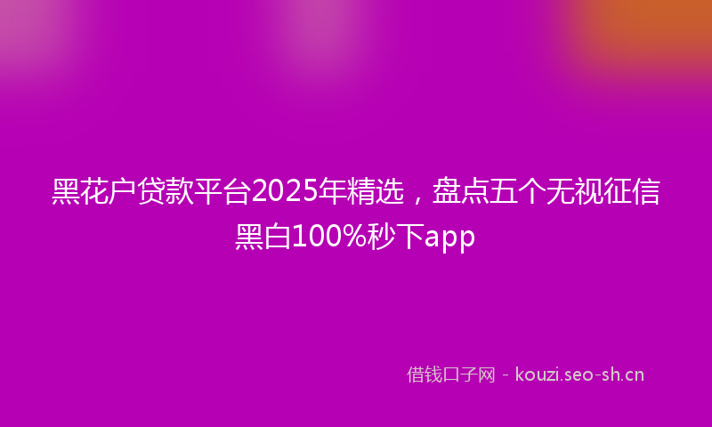 黑花户贷款平台2025年精选，盘点五个无视征信黑白100%秒下app