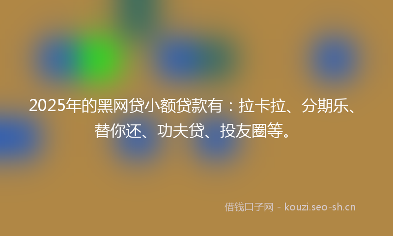 2025年的黑网贷小额贷款有：拉卡拉、分期乐、替你还、功夫贷、投友圈等。