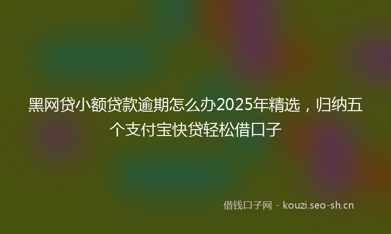 黑网贷小额贷款逾期怎么办2025年精选，归纳五个支付宝快贷轻松借口子