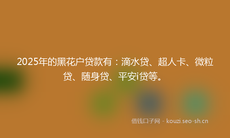 2025年的黑花户贷款有：滴水贷、超人卡、微粒贷、随身贷、平安i贷等。