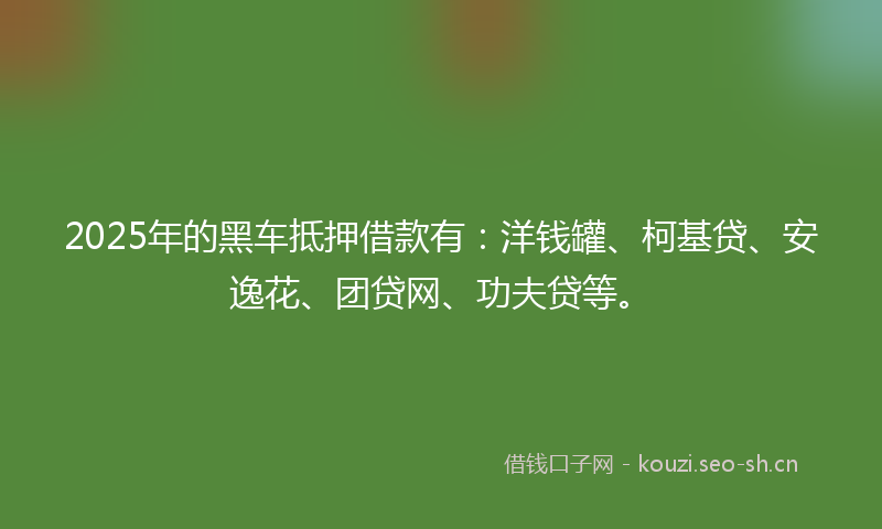 2025年的黑车抵押借款有：洋钱罐、柯基贷、安逸花、团贷网、功夫贷等。