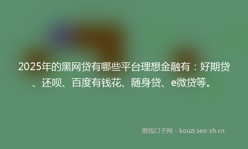 2025年的黑网贷有哪些平台理想金融有：好期贷、还呗、百度有钱花、随身贷、e微贷等。
