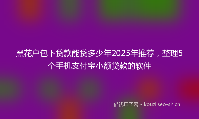 黑花户包下贷款能贷多少年2025年推荐，整理5个手机支付宝小额贷款的软件